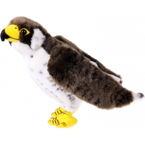 Pluche slechtvalk knuffel - bruin/wit - 23 cm - roofvogel - Knuffeldieren - Vogels -