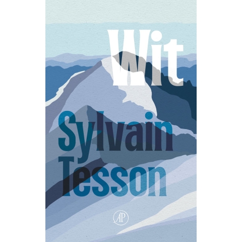 Wit (Paperback)