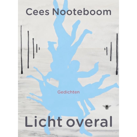 Licht overal (Hardback)