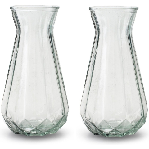 2x Stuks Bloemenvazen - helder/transparant glas - H24 x D13.5 cm -