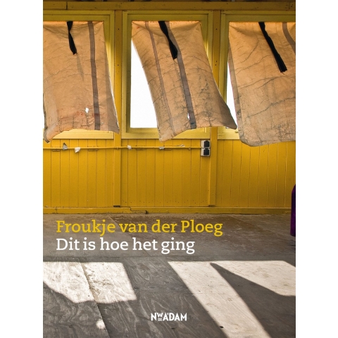 Dit is hoe het ging (Paperback)