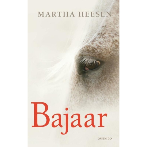 Bajaar (Paperback)