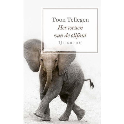 Het wezen van de olifant (Paperback)