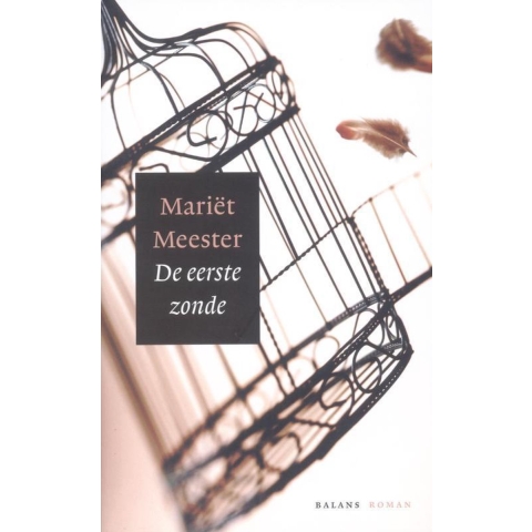 De eerste zonde (Paperback)