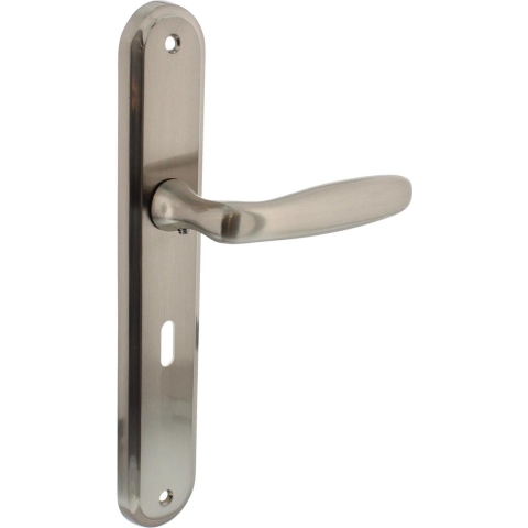 Intersteel Deurkruk Bjorn op schild nikkel mat