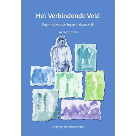 Het verbindende veld (Paperback)