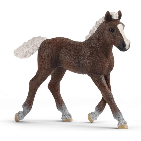 schleich FARM WORLD - SchwarzwÃ¤lder veulen - 13899