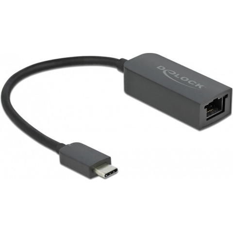 Delock 66645 Adapter USB Type-C male naar 2,5 Gigabit LAN compact