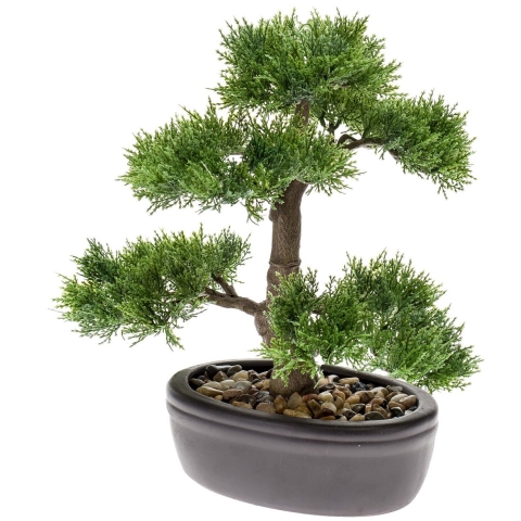 Bonsai 3 - Driesprong collection