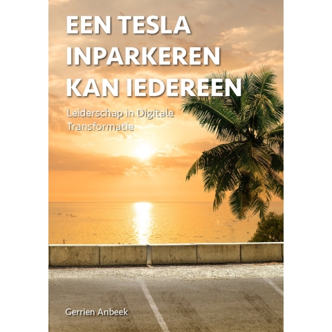 Een Tesla inparkeren kan iedereen (Paperback)