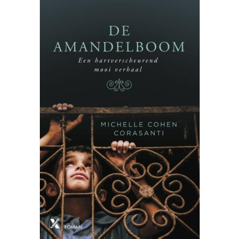 De amandelboom (Paperback)
