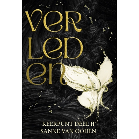 Verleden (Paperback)