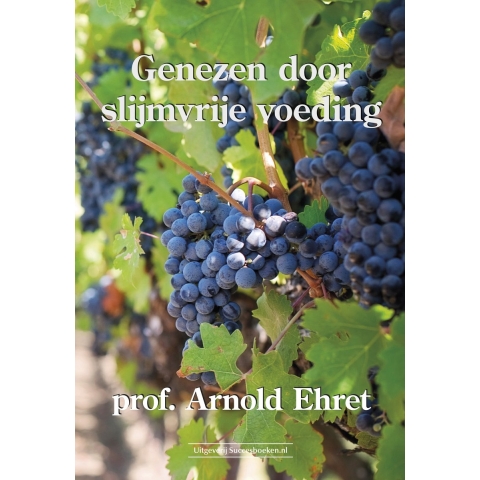 Genezen door slijmvrije voeding (Paperback)