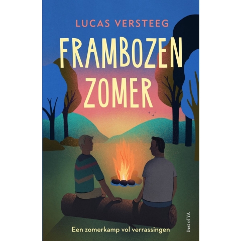 Frambozenzomer (Paperback)