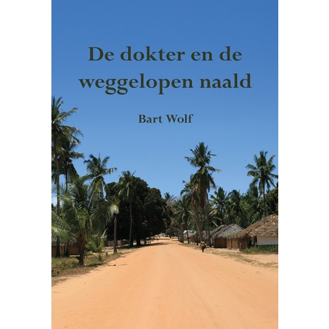 De dokter en de weggelopen naald (Paperback)