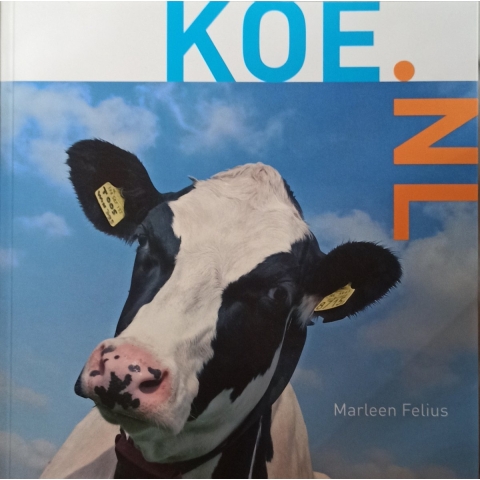 Koe.nl (Paperback)