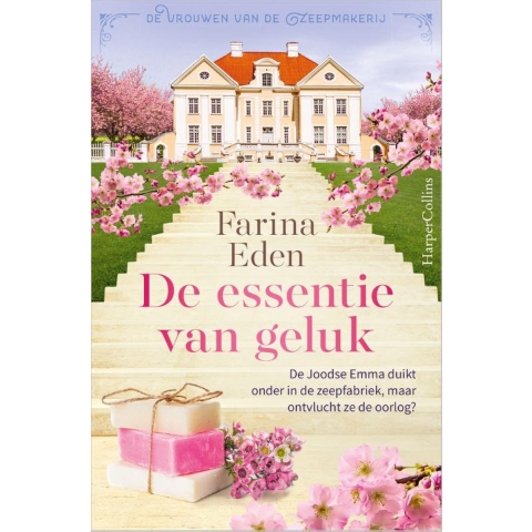De essentie van geluk (Paperback)