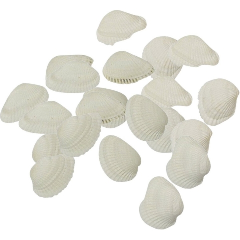 Rayher hobby decoratie schelpen/schelpjes - parelmoer/wit - afmeting 2 cm - 1000 gram netje -