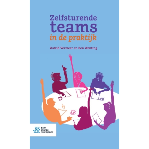 Zelfsturende teams in de praktijk (Paperback)