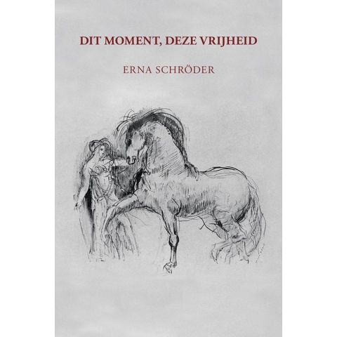 Dit moment, deze vrijheid (Paperback)
