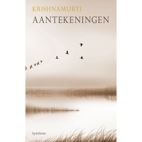 Aantekeningen (Paperback)