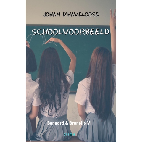 Schoolvoorbeeld (Paperback)