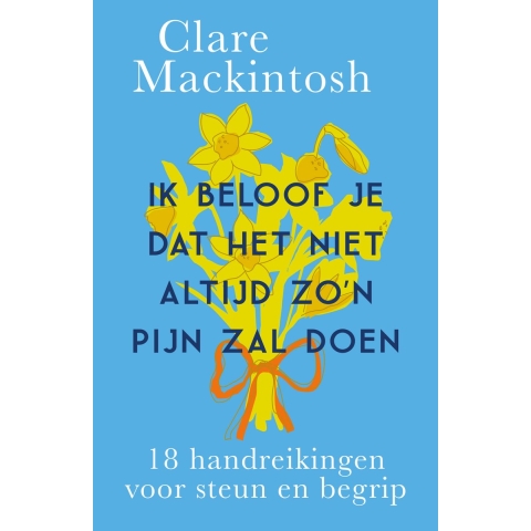 Ik beloof je dat het niet altijd zo'n pijn zal doen (Paperback)