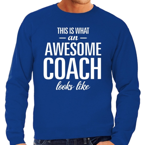 Awesome Coach / trainer cadeau sweater blauw heren S -