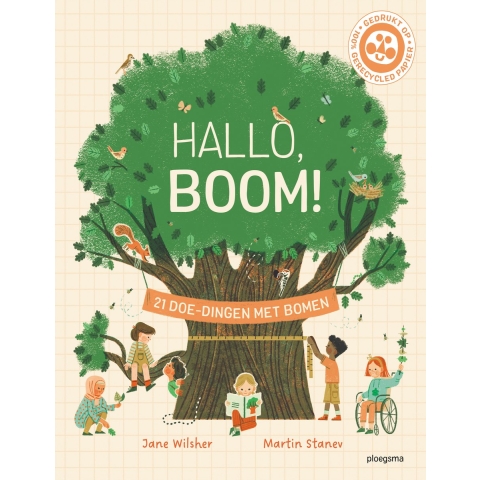 Hallo, boom! (Hardback)
