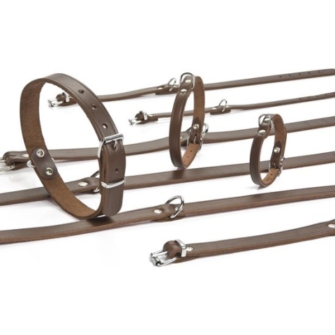 halsband - Bruin 27x10