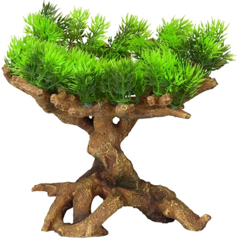 Aqua Della - Aquariumdecoratie - Vissen - Florascape 11 M - 22x19x23,5cm - 1st