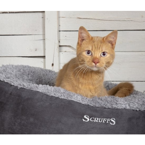 Scruffs Cosy donutmand - Comfortabel en Voordelig met Zachte binnenvoering en Imitatie suède buitenvoering - 4 kleuren - Ø 45 cm - Grijs