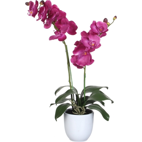 Mica Decorations Orchidee bloem kunstplant - roze - H66 x B38 cm -