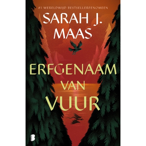 Erfgenaam van vuur (Paperback)