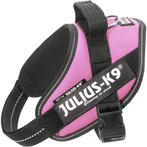 WERELD BEKENDE JULIUS K9 IDC POWERTUIG VOOR TEKSTLABELS ROZE MAAT: MINI