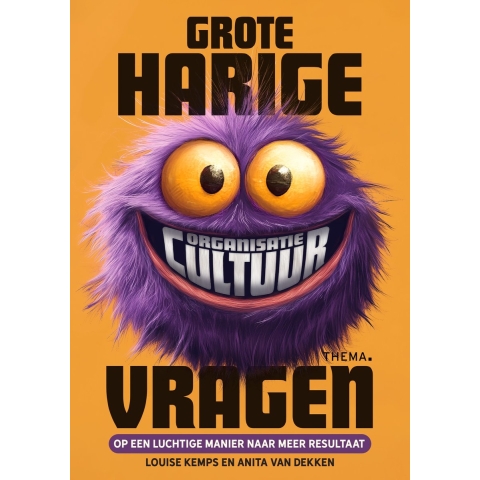 Grote harige (organisatiecultuur)vragen (Paperback)