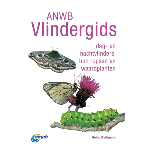 ANWB Vlindergids (Paperback)