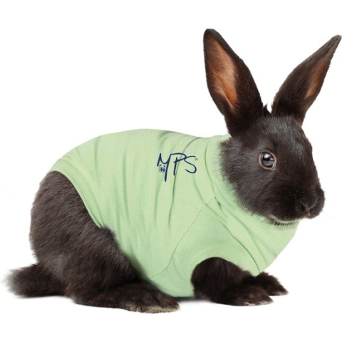 Medical Pet Shirt Konijn XXXS