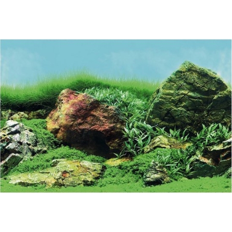 SuperFish Deco Poster Aquascape Plant 100X49cm