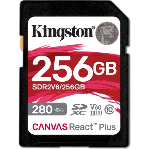 Canvas React Plus 256 GB Geheugenkaart