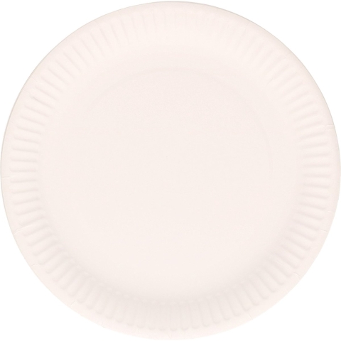 Feestbordjes/gebaksbordjes karton - 150x - wit - rond - papieren bordjes -