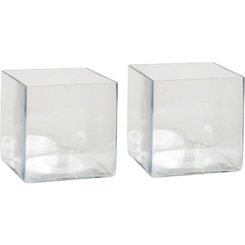 Vaas - 2x - vierkant - transparant - glas - 20 cm - Accubak - Glazen vazen - Woonaccessoires -