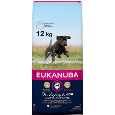 Eukanuba Developing Junior Large Breed Kip - Hondenvoer - 12 kg