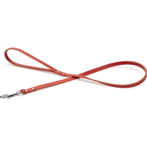 Beeztees - Hondenriem - Geniet - Rood - 100x12 cm