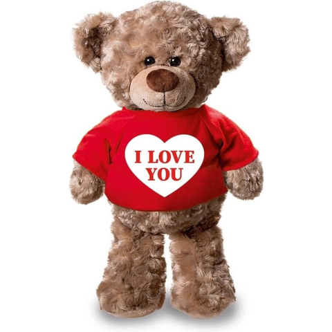 Knuffel teddybeer met I love you hartje rood shirt 24 cm -