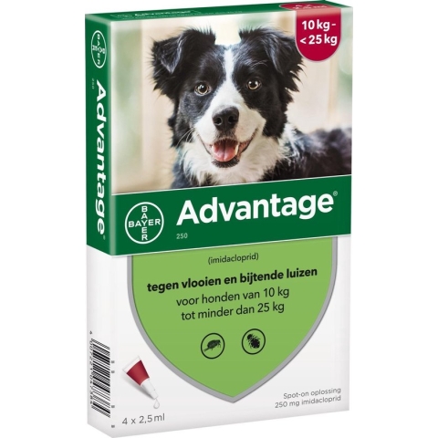 Bayer Advantage 250 Vlooiendruppels Hond 10-25 kg - 4 Pipetten