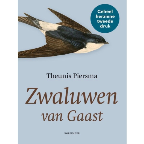 Zwaluwen van Gaast (Paperback)