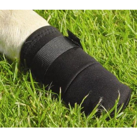 Beeztees Beschermingsschoen - Hond - Zwart - L - 2ST