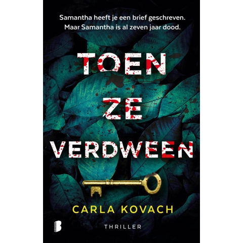 Toen ze verdween (Paperback)