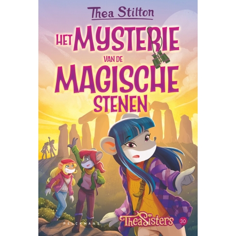 Het mysterie van de magische stenen (Hardback)